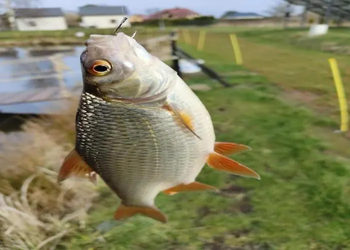 Сasa de vacaciones Home, 3 Bedrooms, Fishing Pond, Sauna *